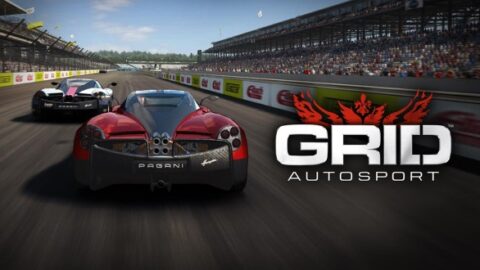 GRID AUTOSPORT SWITCH ROM DESCARGA